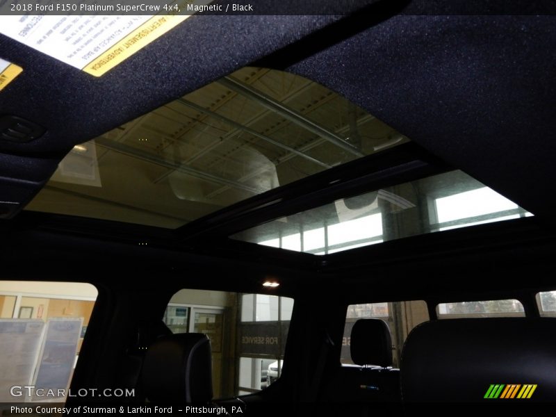 Magnetic / Black 2018 Ford F150 Platinum SuperCrew 4x4