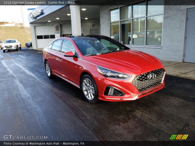 Scarlet Red / Black 2019 Hyundai Sonata Limited