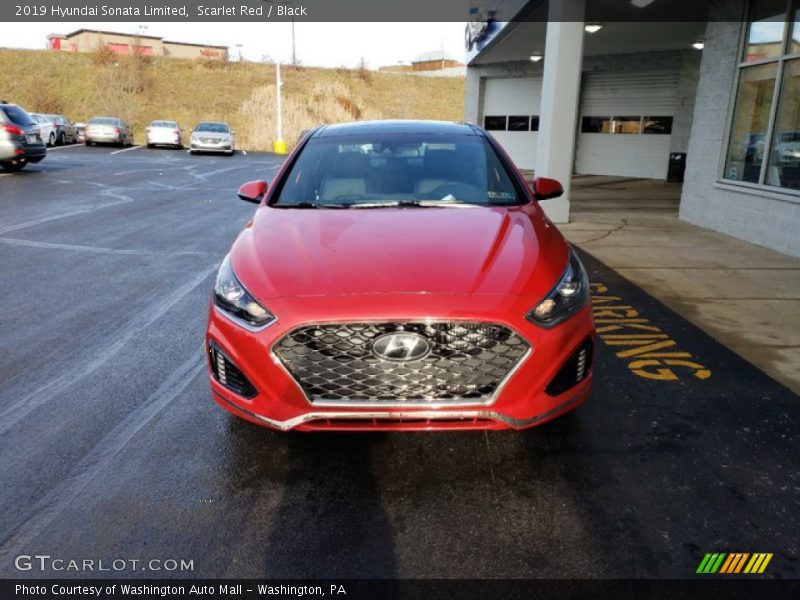 Scarlet Red / Black 2019 Hyundai Sonata Limited