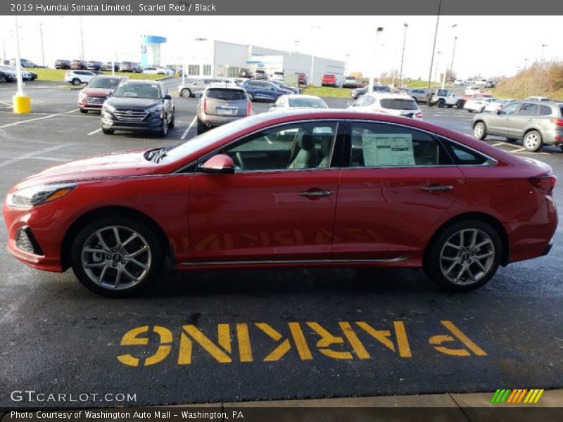 Scarlet Red / Black 2019 Hyundai Sonata Limited