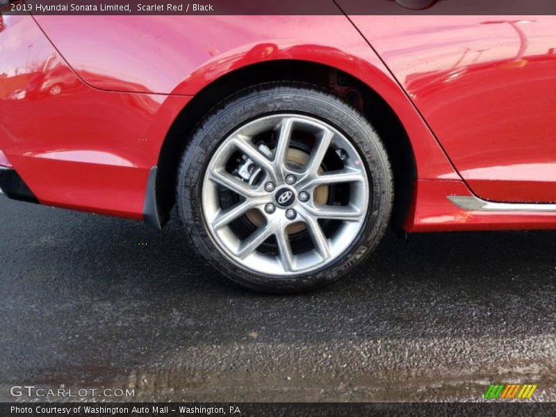 Scarlet Red / Black 2019 Hyundai Sonata Limited