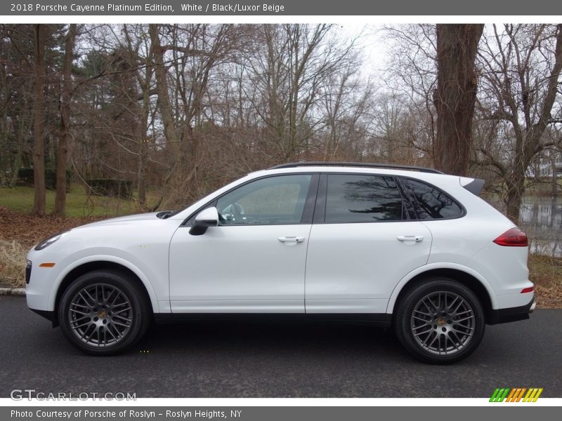 White / Black/Luxor Beige 2018 Porsche Cayenne Platinum Edition