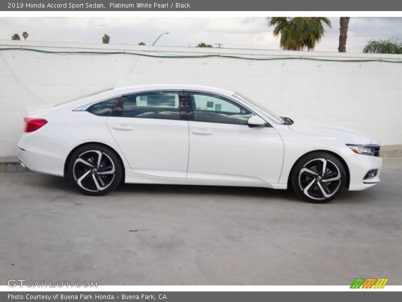 Platinum White Pearl / Black 2019 Honda Accord Sport Sedan