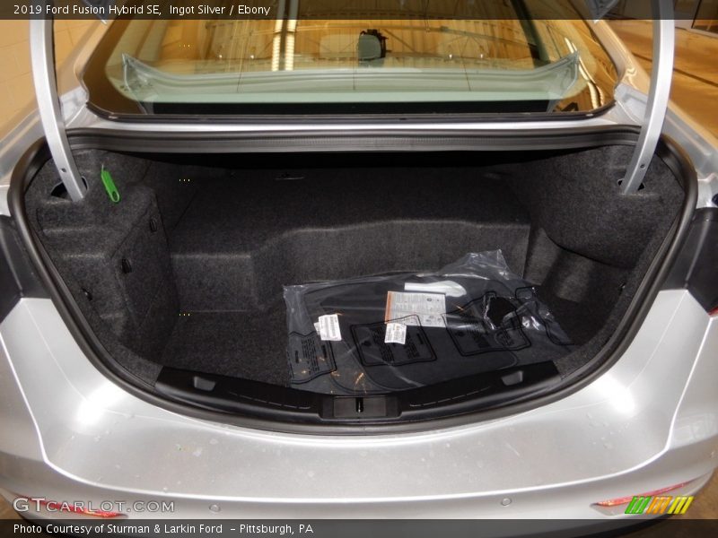 Ingot Silver / Ebony 2019 Ford Fusion Hybrid SE