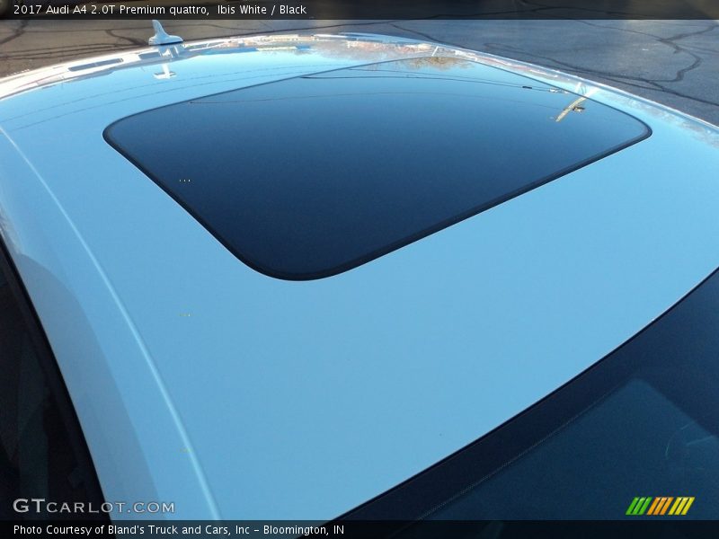 Ibis White / Black 2017 Audi A4 2.0T Premium quattro