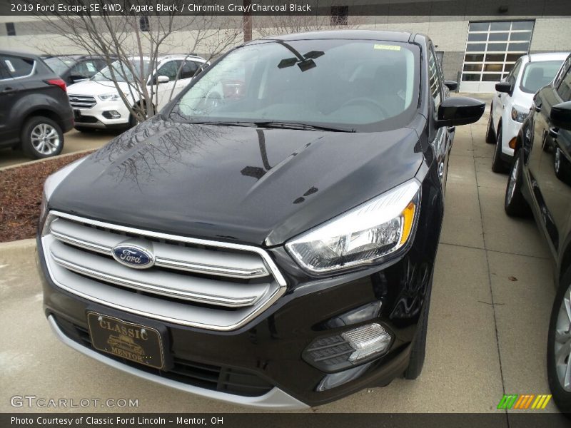 Agate Black / Chromite Gray/Charcoal Black 2019 Ford Escape SE 4WD