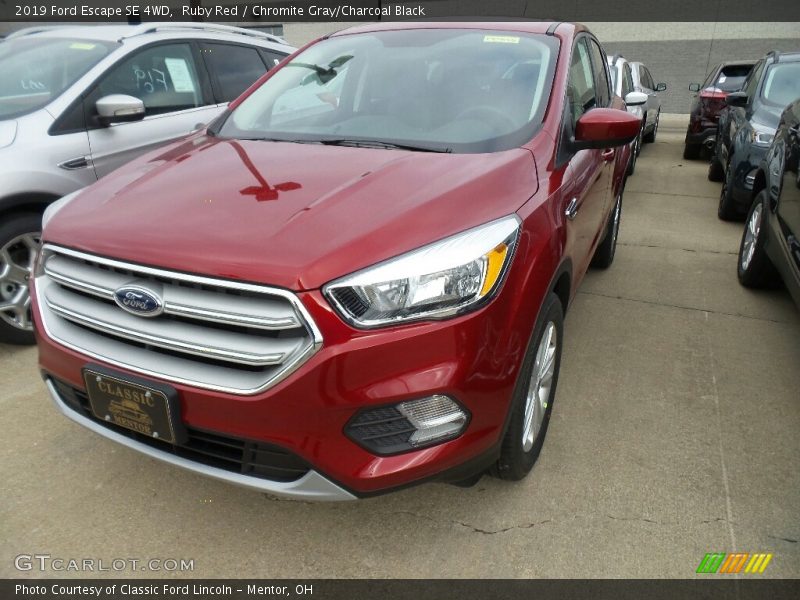 Ruby Red / Chromite Gray/Charcoal Black 2019 Ford Escape SE 4WD