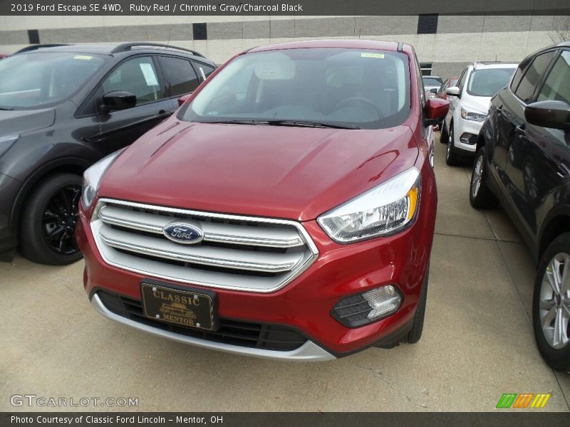 Ruby Red / Chromite Gray/Charcoal Black 2019 Ford Escape SE 4WD