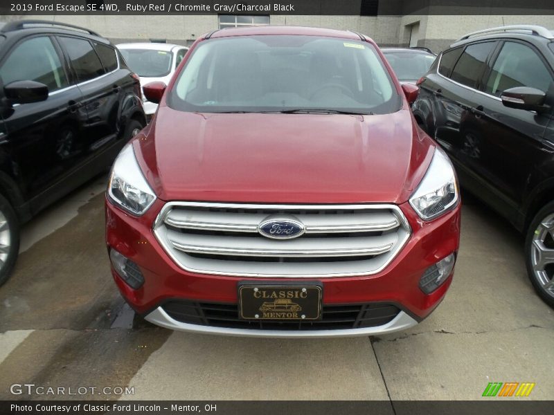 Ruby Red / Chromite Gray/Charcoal Black 2019 Ford Escape SE 4WD