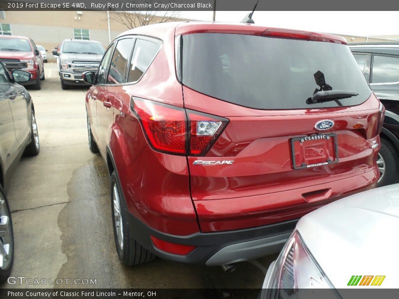 Ruby Red / Chromite Gray/Charcoal Black 2019 Ford Escape SE 4WD