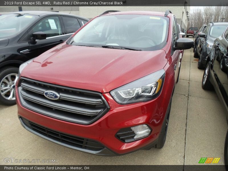 Ruby Red / Chromite Gray/Charcoal Black 2019 Ford Escape SEL 4WD