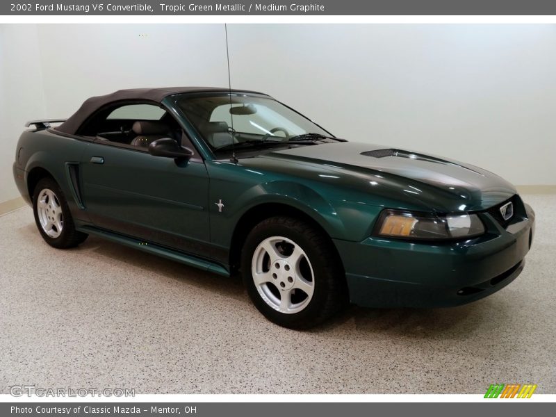 Tropic Green Metallic / Medium Graphite 2002 Ford Mustang V6 Convertible