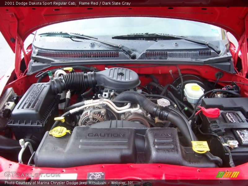 Flame Red / Dark Slate Gray 2001 Dodge Dakota Sport Regular Cab