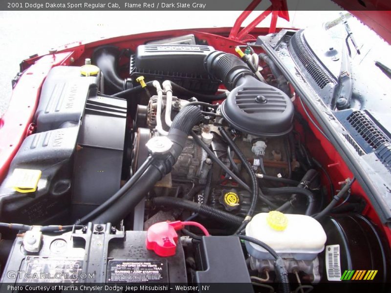 Flame Red / Dark Slate Gray 2001 Dodge Dakota Sport Regular Cab