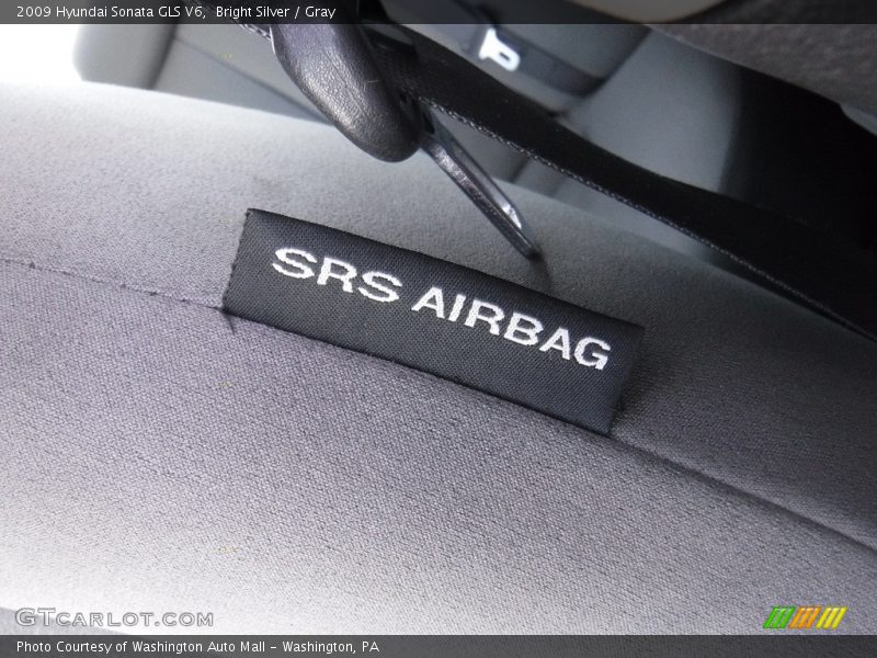Bright Silver / Gray 2009 Hyundai Sonata GLS V6