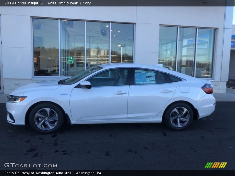 White Orchid Pearl / Ivory 2019 Honda Insight EX