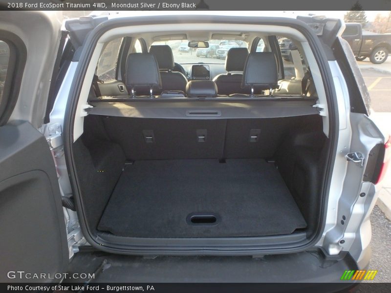 Moondust Silver / Ebony Black 2018 Ford EcoSport Titanium 4WD
