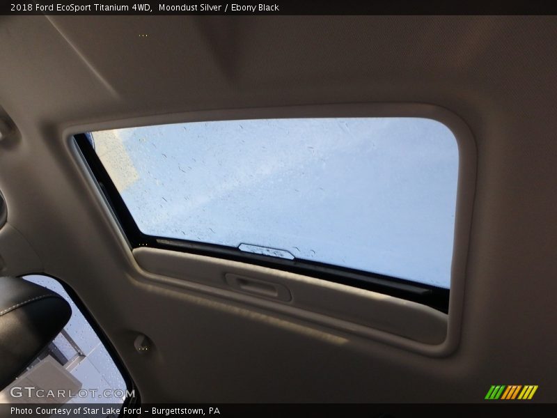 Moondust Silver / Ebony Black 2018 Ford EcoSport Titanium 4WD