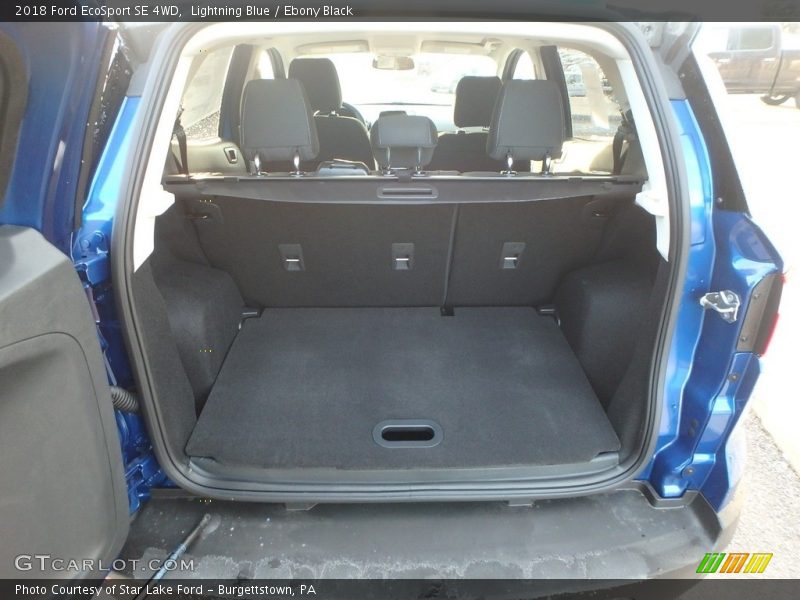 Lightning Blue / Ebony Black 2018 Ford EcoSport SE 4WD