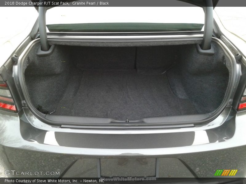 Granite Pearl / Black 2018 Dodge Charger R/T Scat Pack