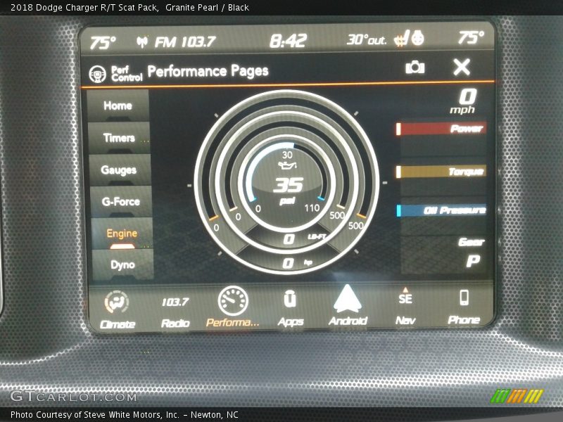 Granite Pearl / Black 2018 Dodge Charger R/T Scat Pack