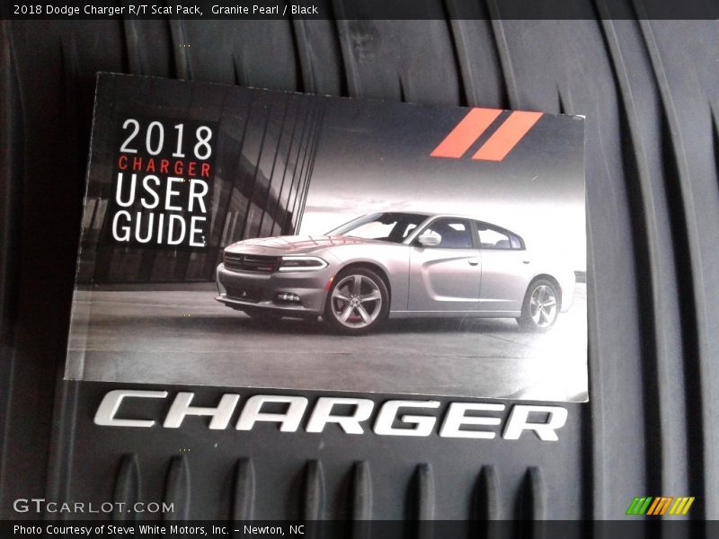 Granite Pearl / Black 2018 Dodge Charger R/T Scat Pack