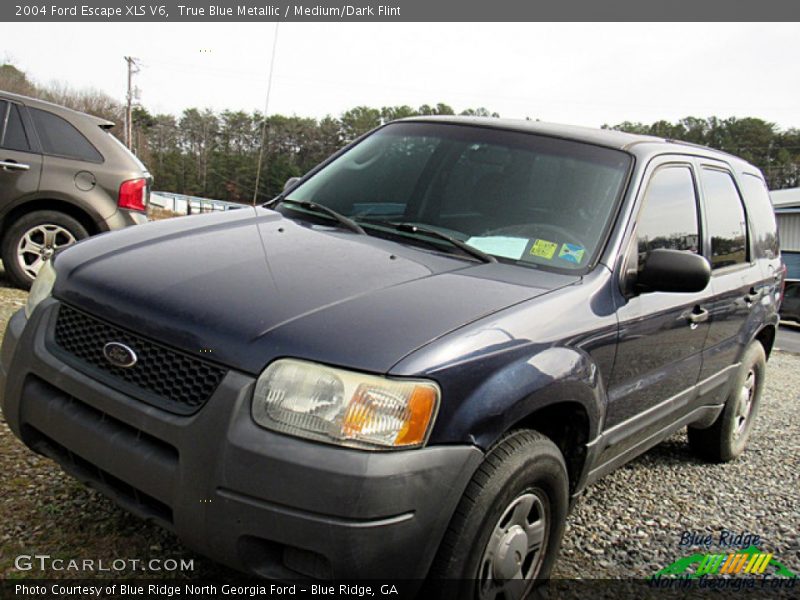 True Blue Metallic / Medium/Dark Flint 2004 Ford Escape XLS V6