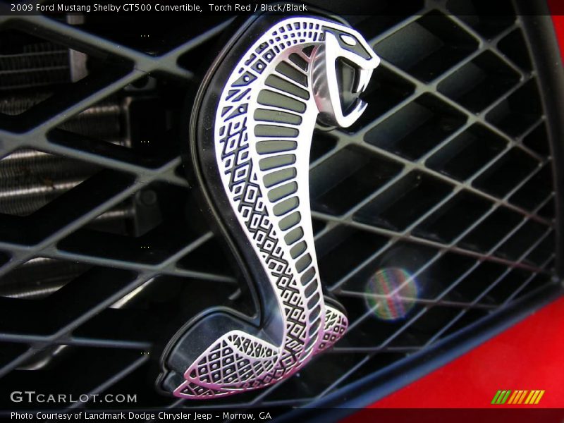  2009 Mustang Shelby GT500 Convertible Logo