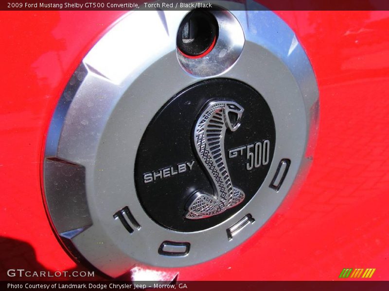  2009 Mustang Shelby GT500 Convertible Logo