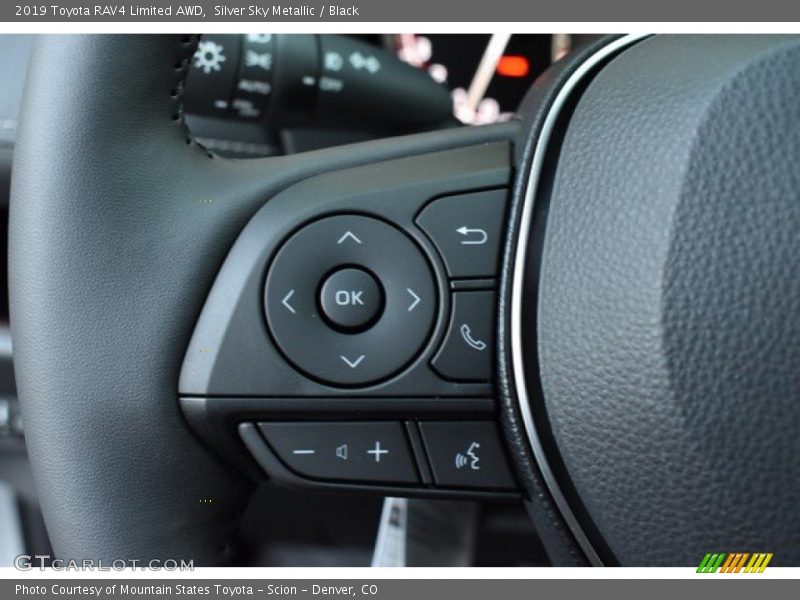 2019 RAV4 Limited AWD Steering Wheel