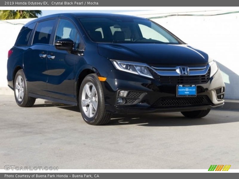 Crystal Black Pearl / Mocha 2019 Honda Odyssey EX