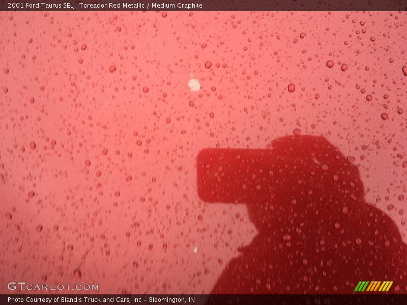Toreador Red Metallic / Medium Graphite 2001 Ford Taurus SEL