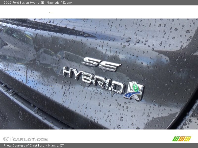 Magnetic / Ebony 2019 Ford Fusion Hybrid SE