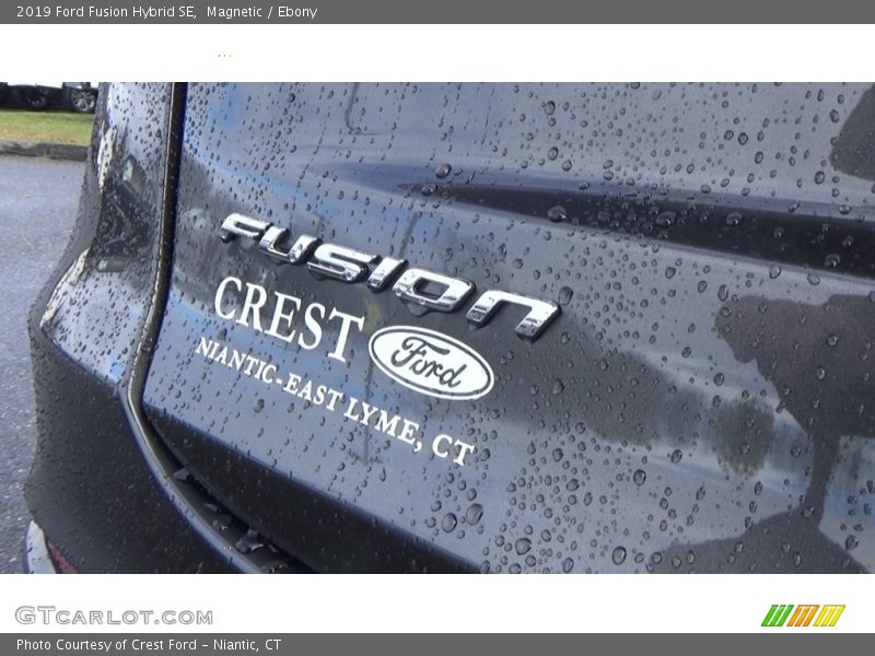 Magnetic / Ebony 2019 Ford Fusion Hybrid SE