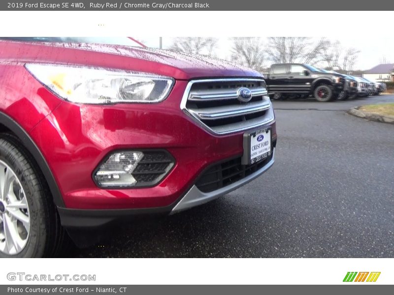 Ruby Red / Chromite Gray/Charcoal Black 2019 Ford Escape SE 4WD