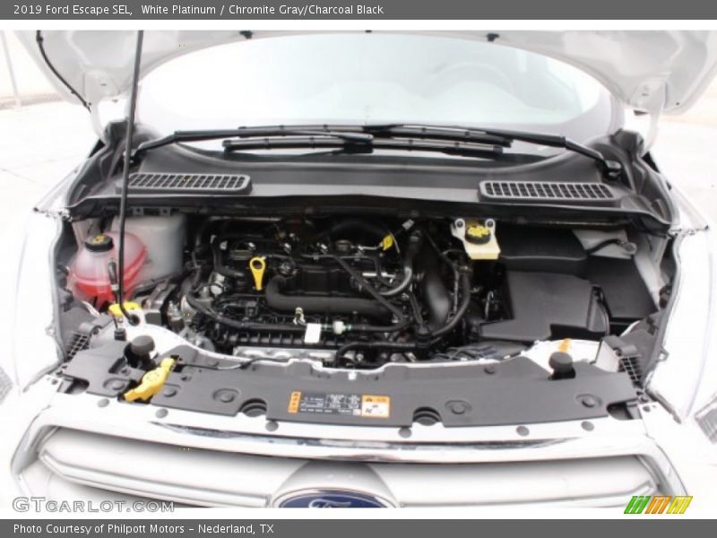 White Platinum / Chromite Gray/Charcoal Black 2019 Ford Escape SEL