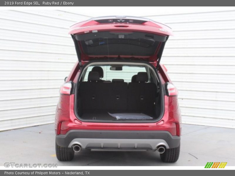 Ruby Red / Ebony 2019 Ford Edge SEL