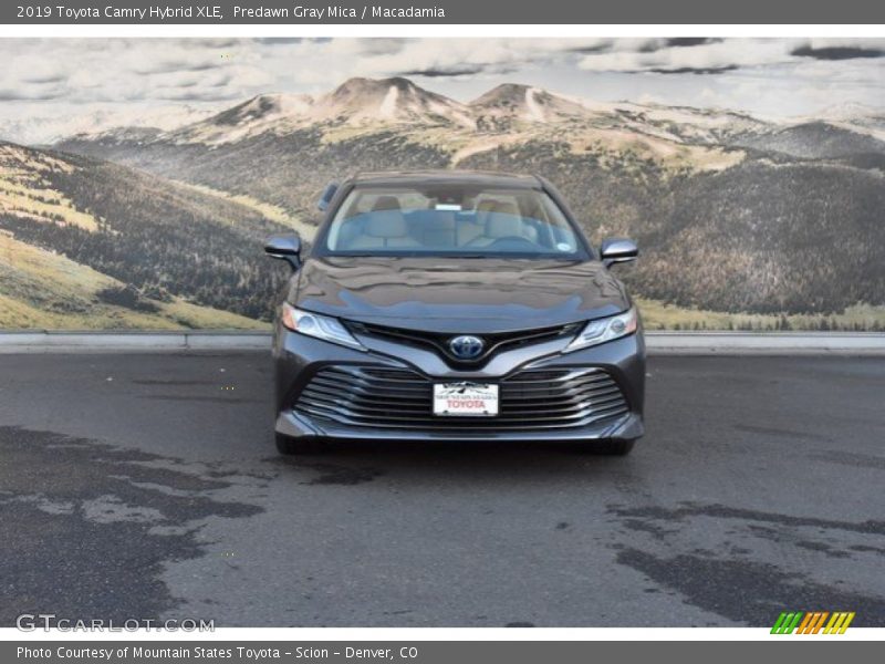 Predawn Gray Mica / Macadamia 2019 Toyota Camry Hybrid XLE