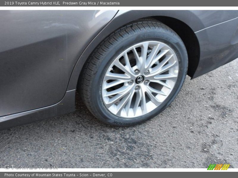 Predawn Gray Mica / Macadamia 2019 Toyota Camry Hybrid XLE