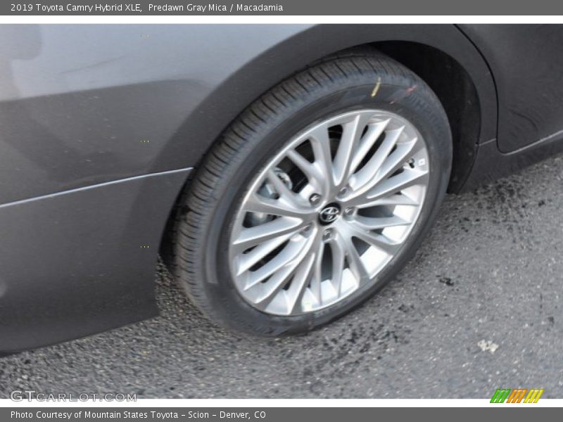 Predawn Gray Mica / Macadamia 2019 Toyota Camry Hybrid XLE