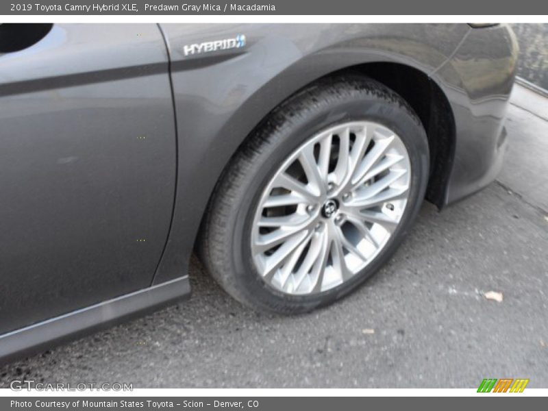 Predawn Gray Mica / Macadamia 2019 Toyota Camry Hybrid XLE
