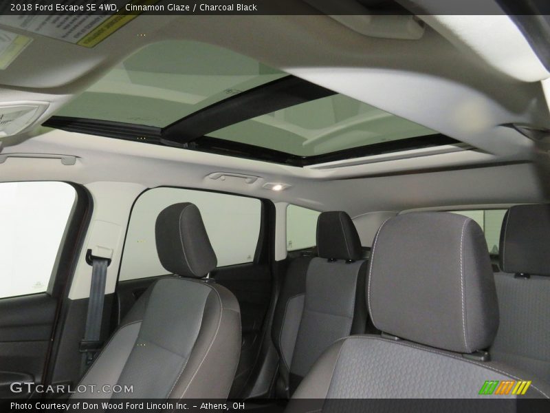 Cinnamon Glaze / Charcoal Black 2018 Ford Escape SE 4WD