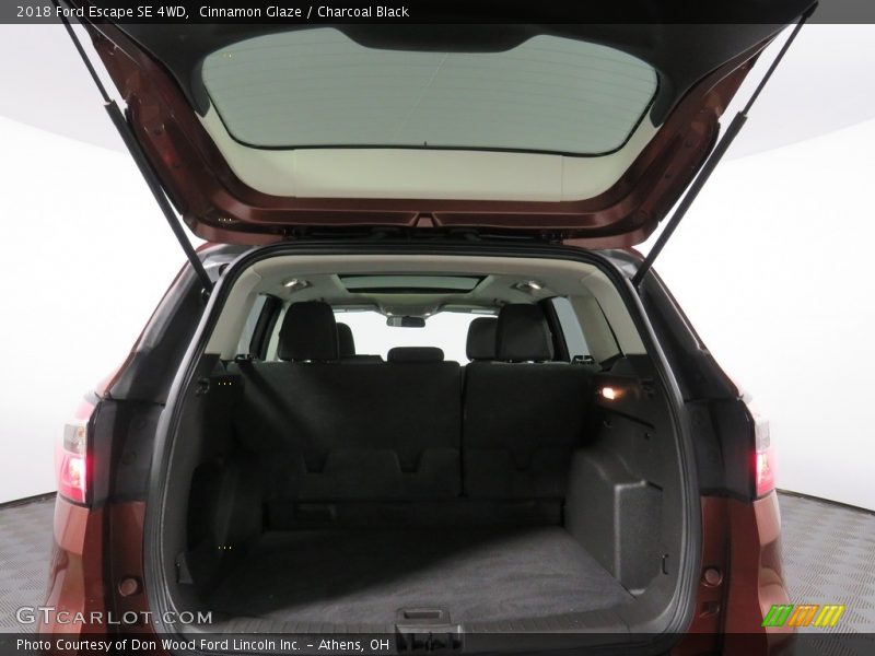 Cinnamon Glaze / Charcoal Black 2018 Ford Escape SE 4WD