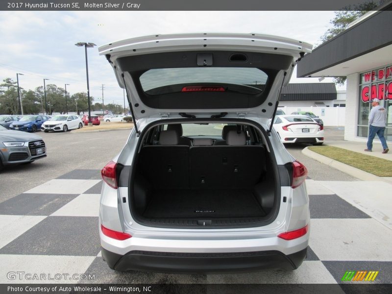 Molten Silver / Gray 2017 Hyundai Tucson SE