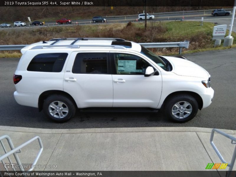 Super White / Black 2019 Toyota Sequoia SR5 4x4