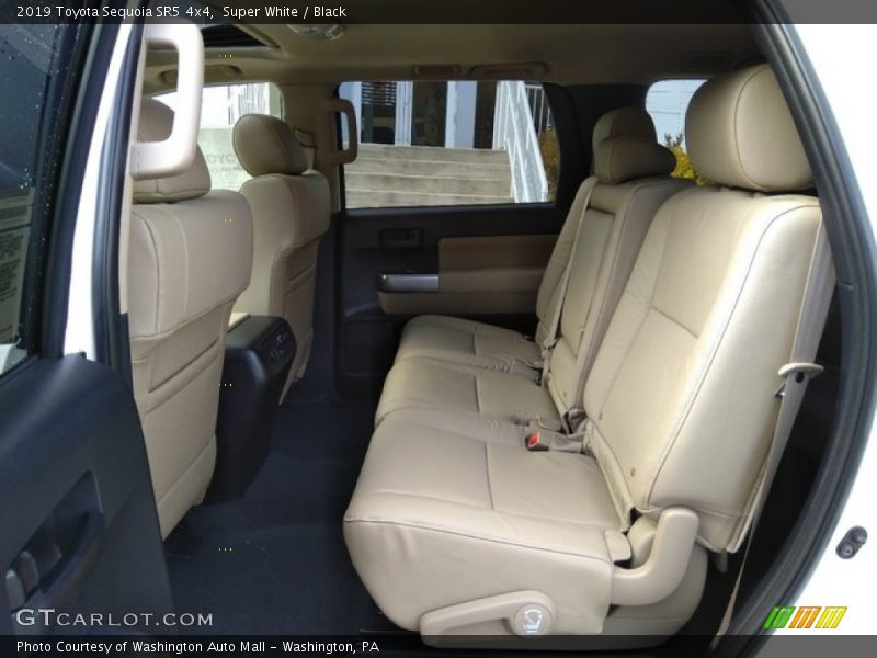 Rear Seat of 2019 Sequoia SR5 4x4