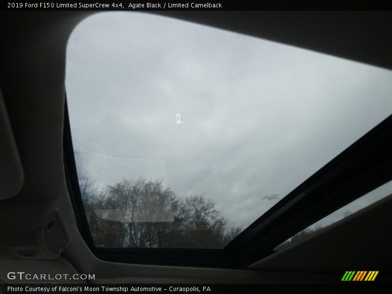 Agate Black / Limited Camelback 2019 Ford F150 Limited SuperCrew 4x4