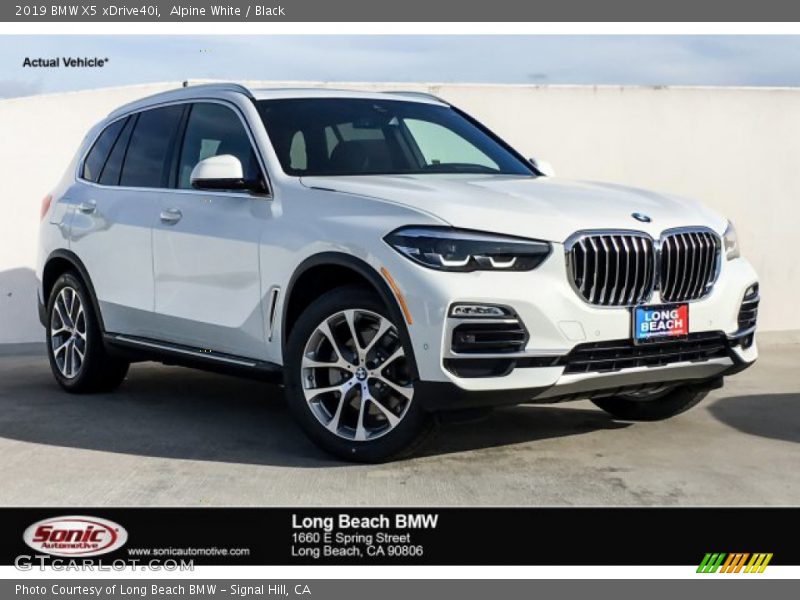 Alpine White / Black 2019 BMW X5 xDrive40i