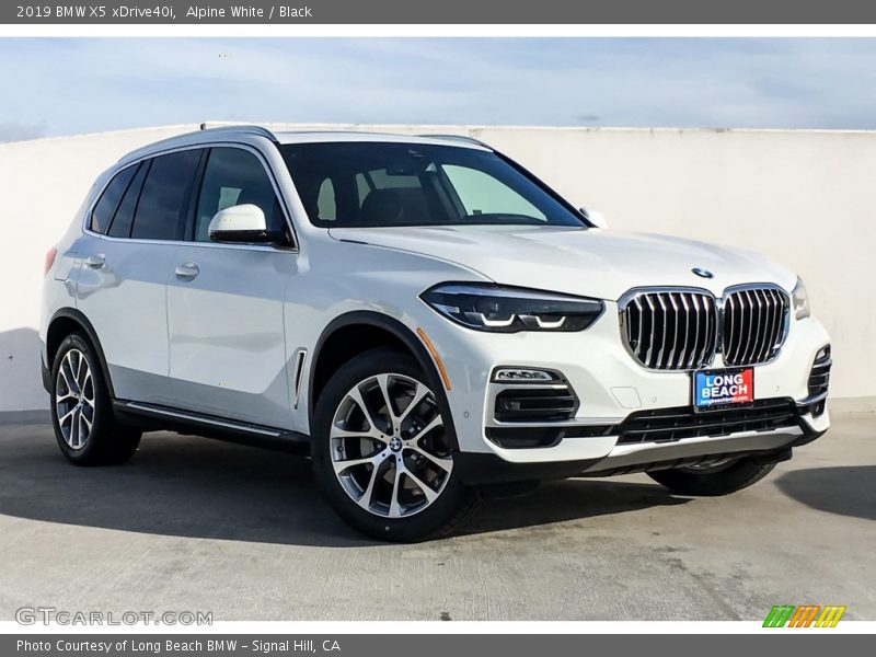 Alpine White / Black 2019 BMW X5 xDrive40i