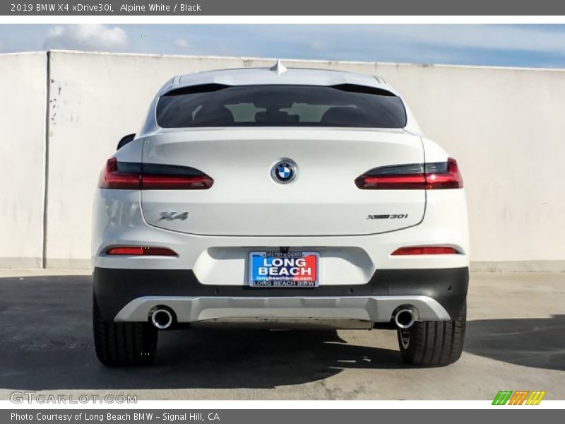 Alpine White / Black 2019 BMW X4 xDrive30i